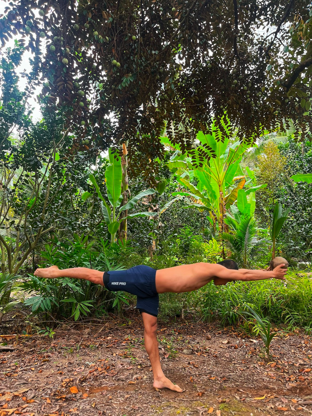 The motives, động lực của bạn là&nbsp;gì?