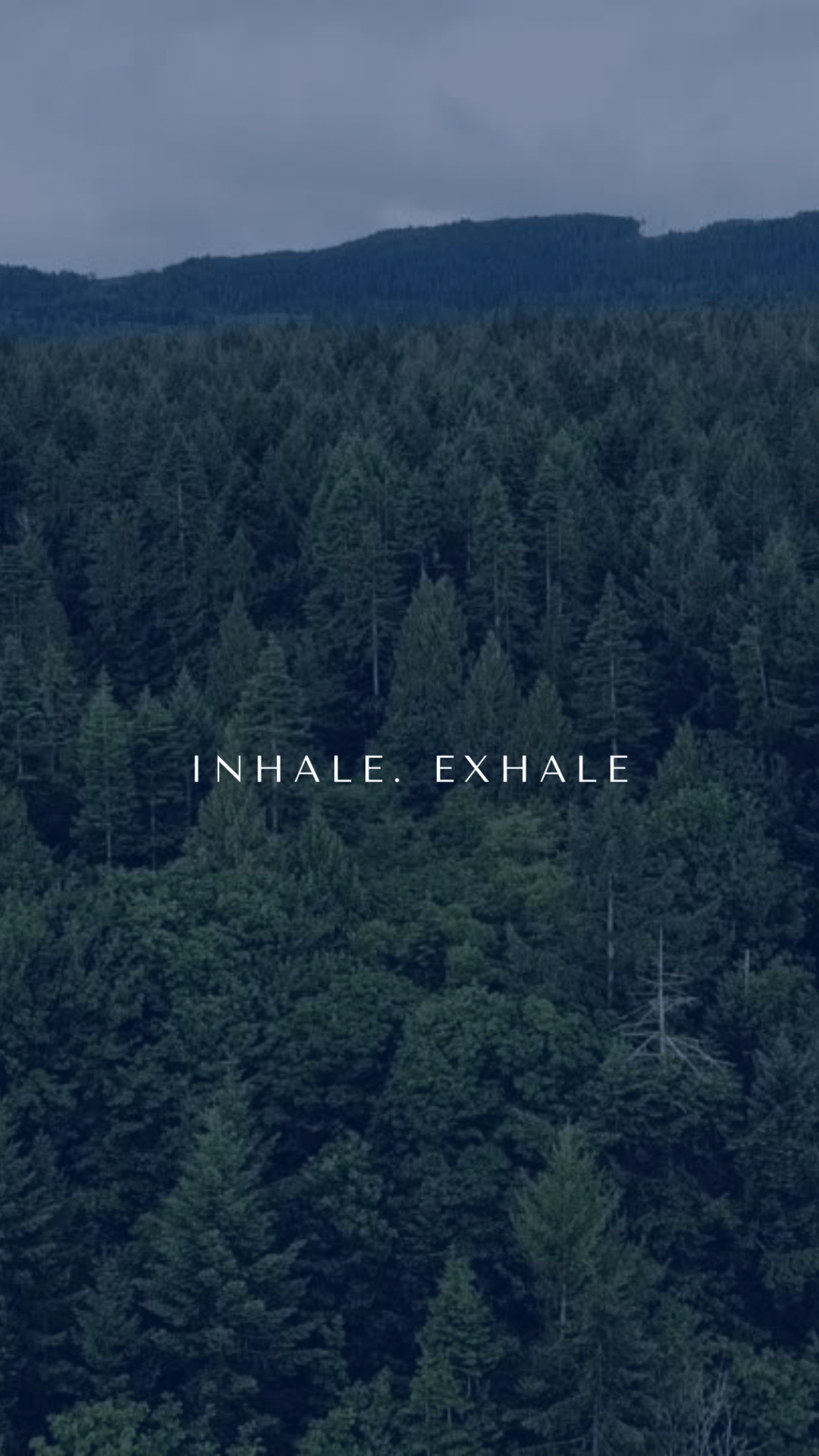 Progress vs Illusion