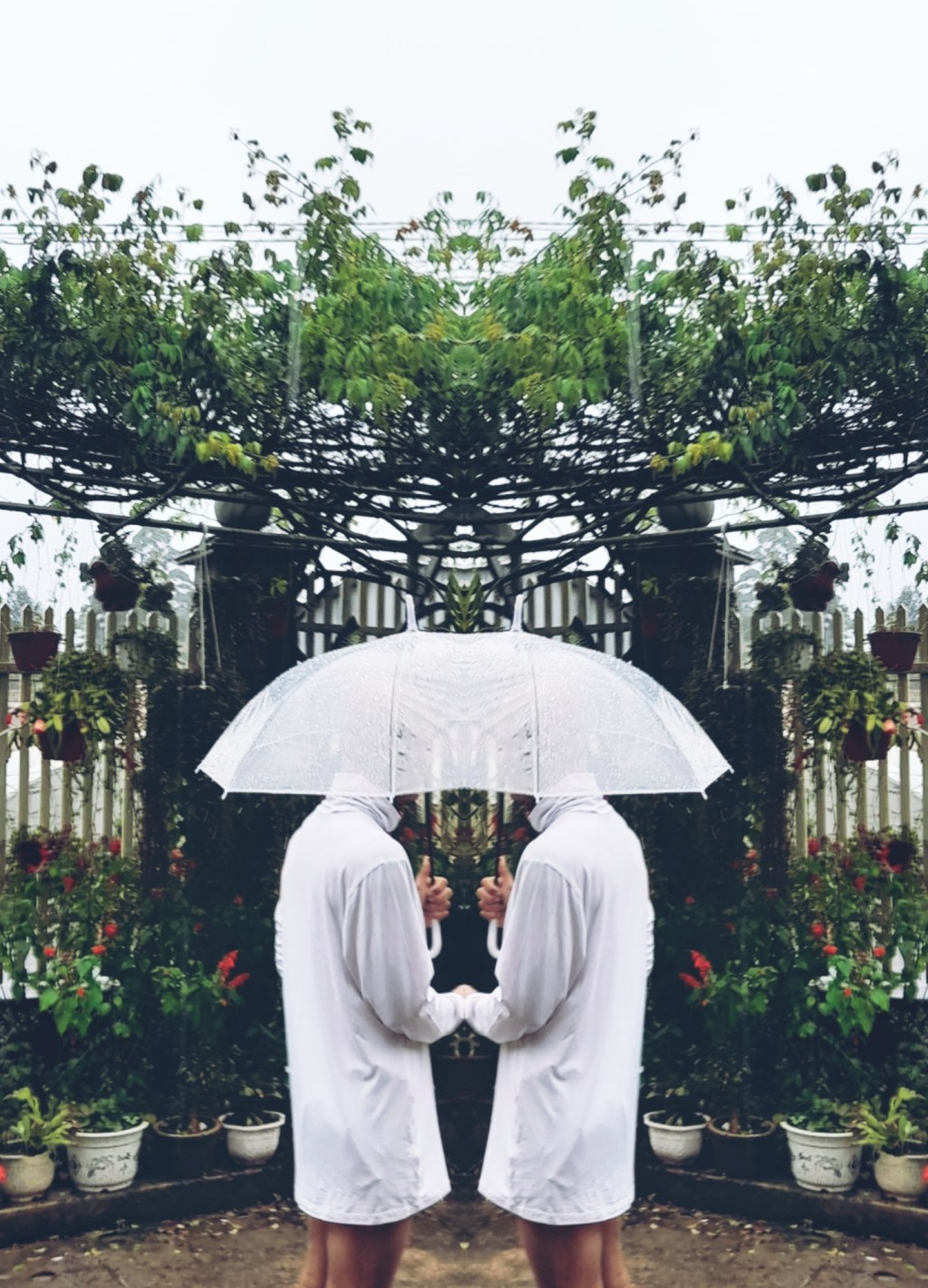 Mưa Nhiệt Đới & Mùi Của&nbsp;Đất