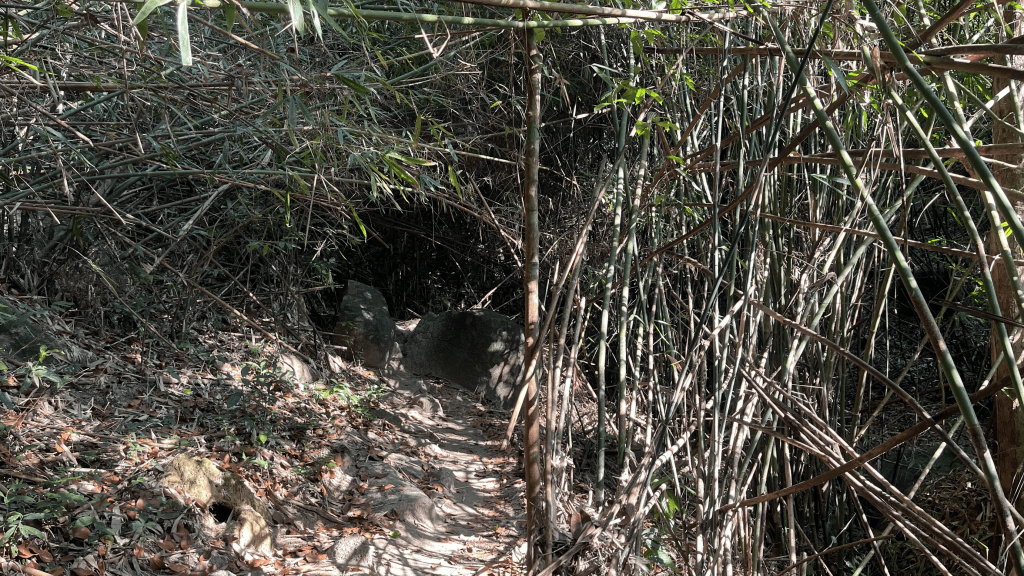 Núi Dinh và những kẻ mộng mơ trên đỉnh La Bàn