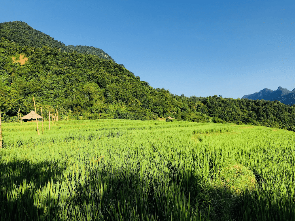 SỰ TĨNH LẶNG BIẾT NÓI