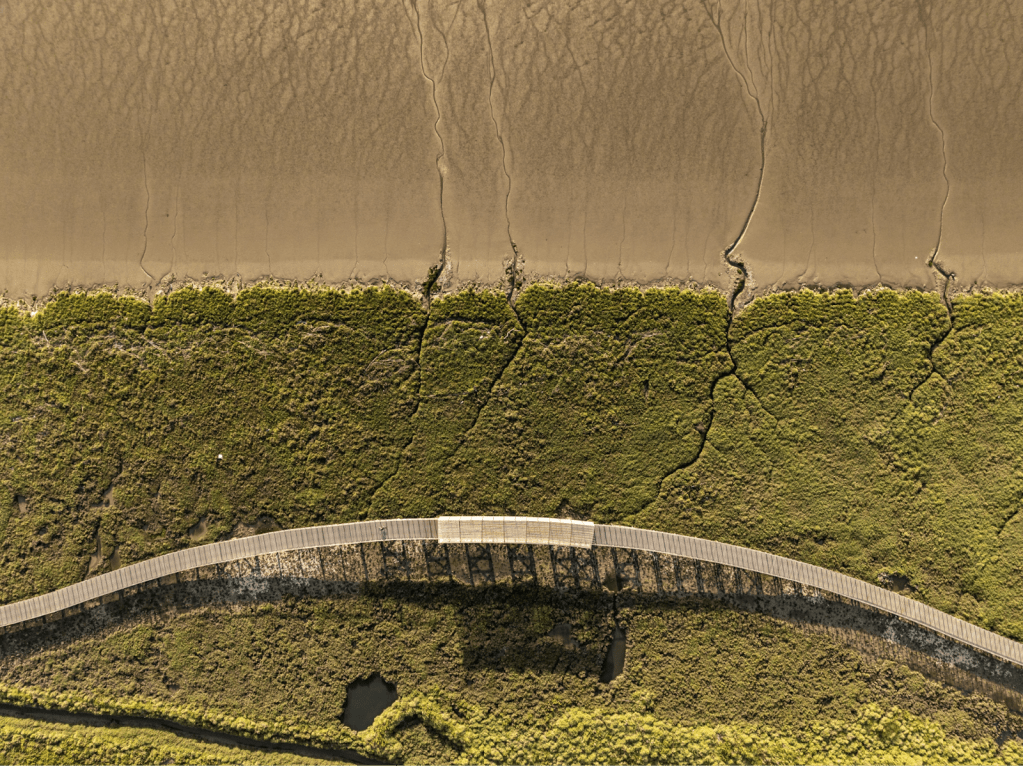 Kiến Trúc Cảnh Quan: Sự Trả Giá Khi Coi Mặt Đất Chỉ Là Lớp Phấn&nbsp;Son