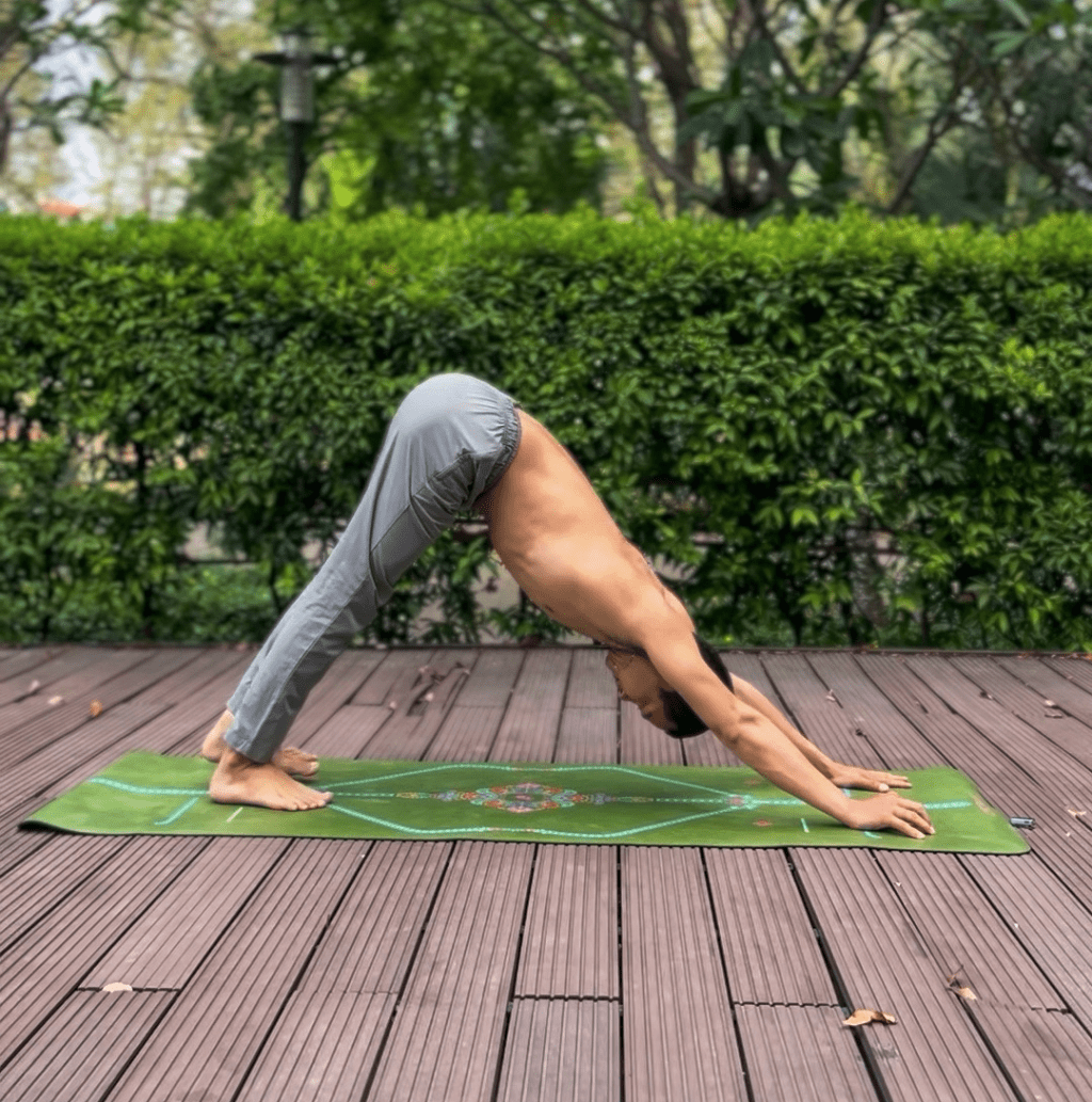 Tư Thế Chó Úp Mặt Và Nghệ Thuật Đảo Chiều Góc Nhìn