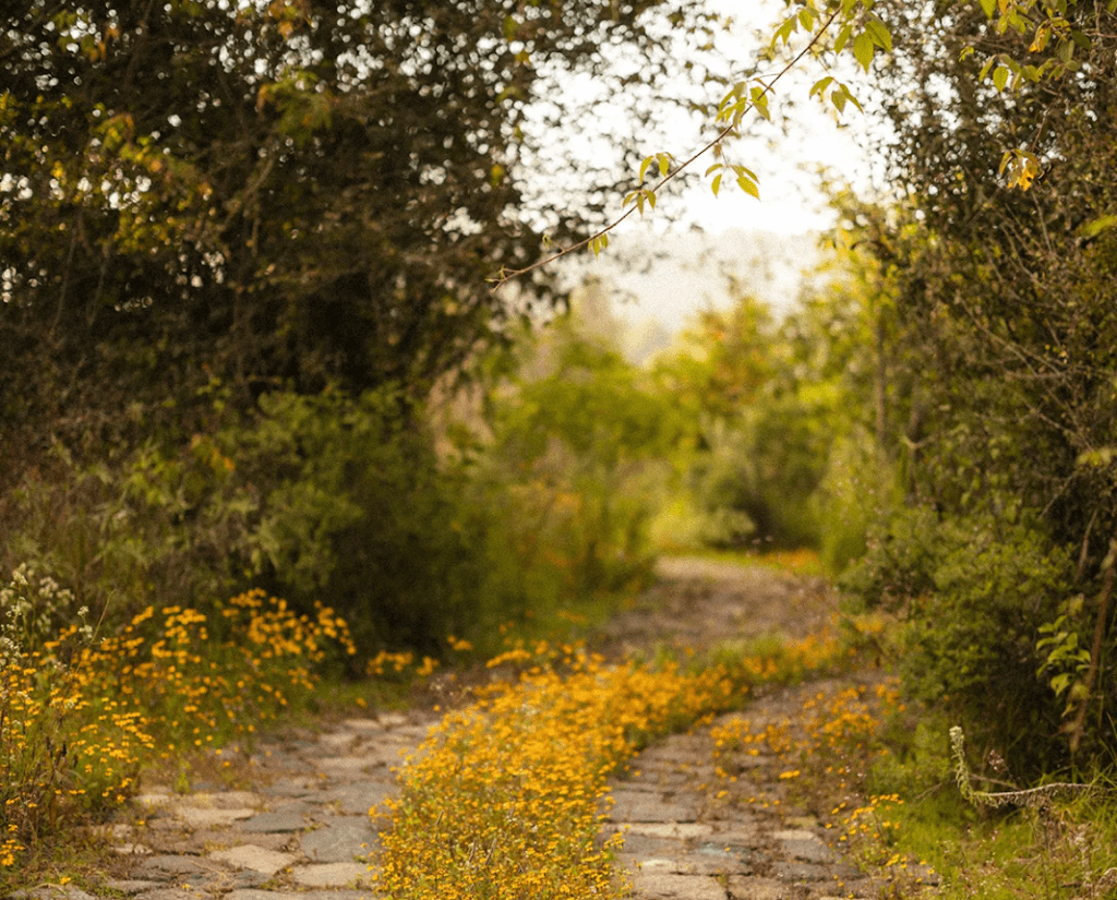 Vệt nắng muộn bên chiều Sài Gòn