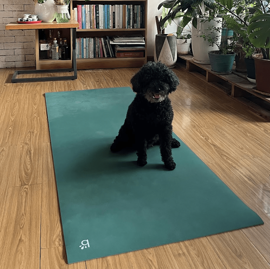 Chuyến Đi Không Cần Hộ Chiếu: Cuộc Rong Ruổi Trở Về Trái&nbsp;Tim