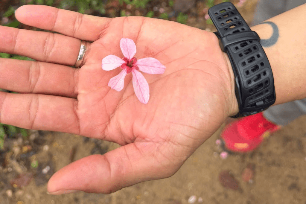 Đi Qua Núi Dinh mùa mưa đầu&nbsp;mùa